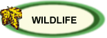 Wildlife button